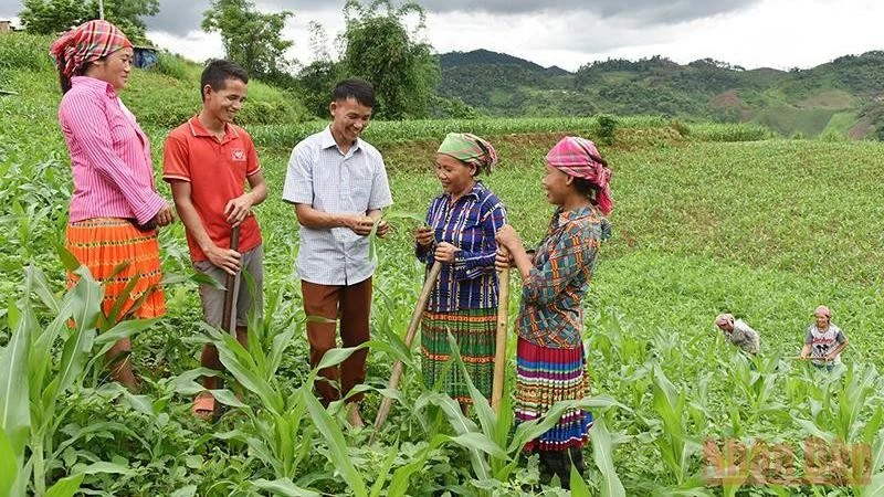 Thumbnail Khoa Dân tộc nội trú - Công tác học sinh, sinh viên